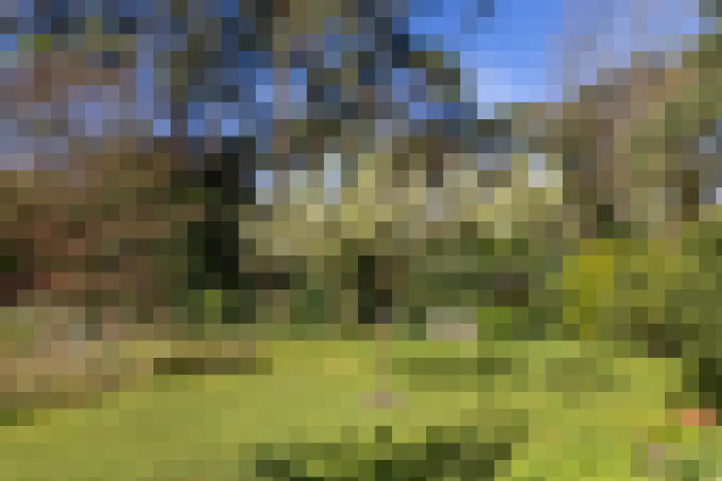 Lassuslaan 60 Bilthoven thumbnail 43