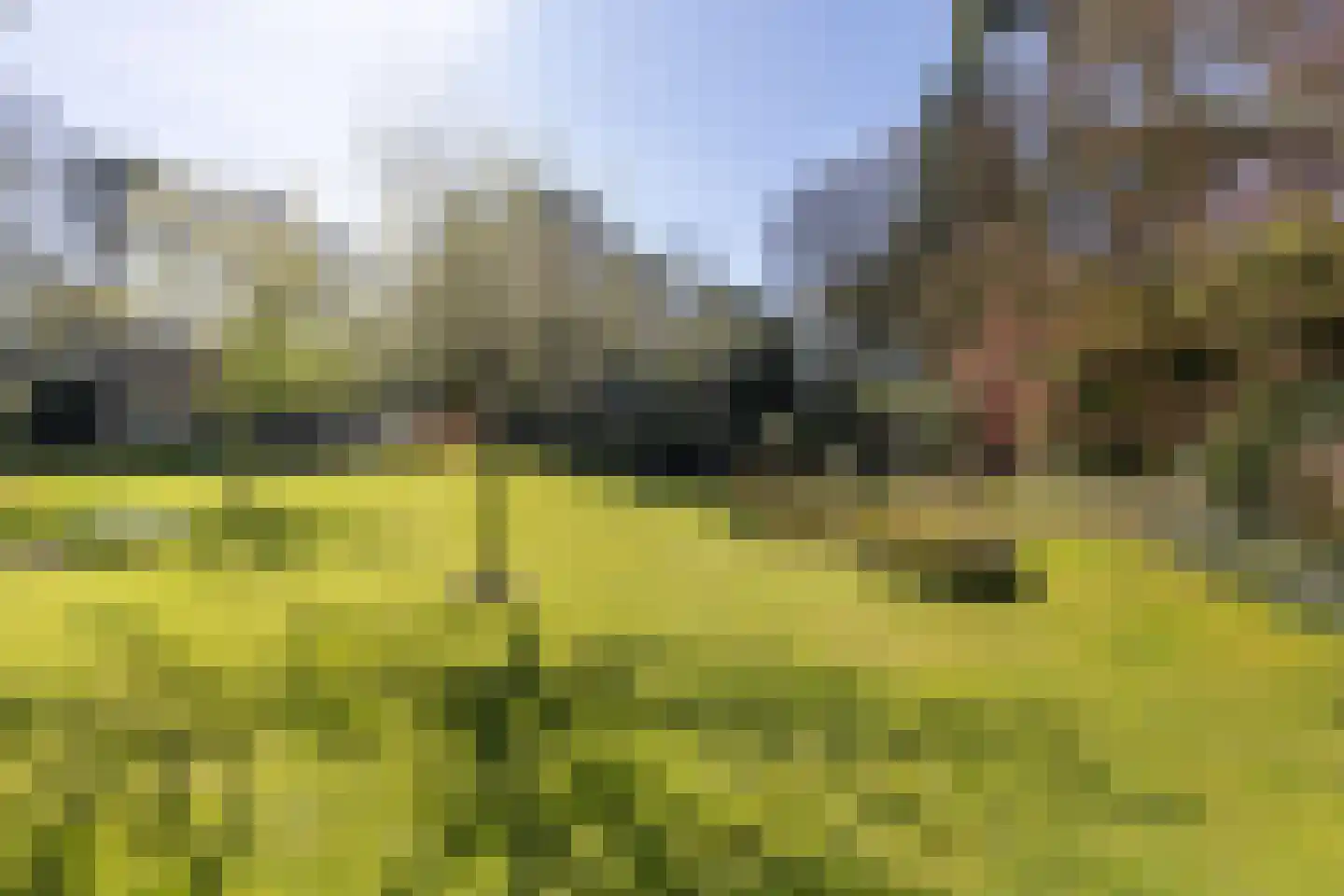 Lassuslaan 60 Bilthoven thumbnail 45