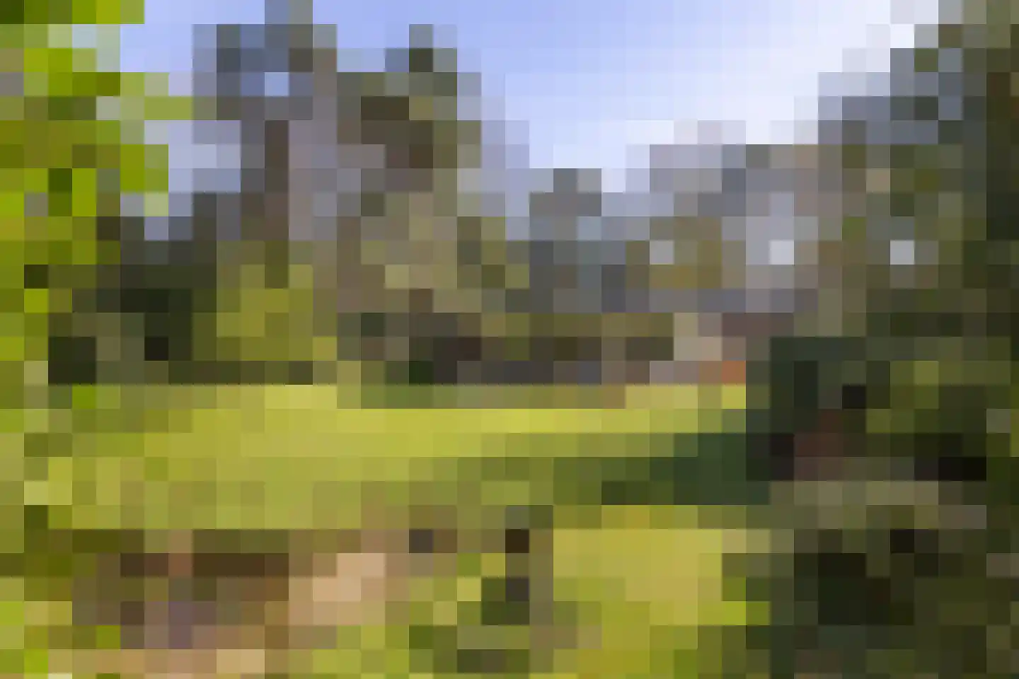Lassuslaan 60 Bilthoven thumbnail 47