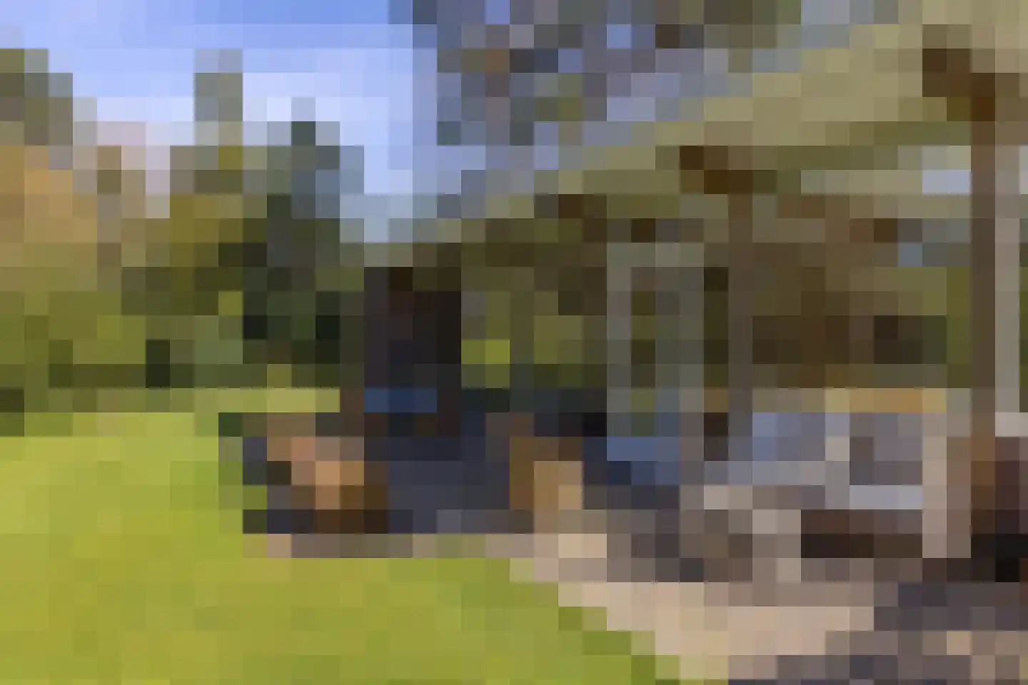 Lassuslaan 60 Bilthoven thumbnail 49