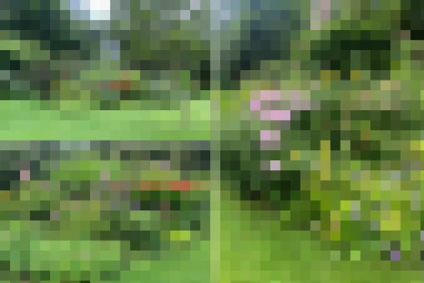 Lassuslaan 60 Bilthoven thumbnail 51