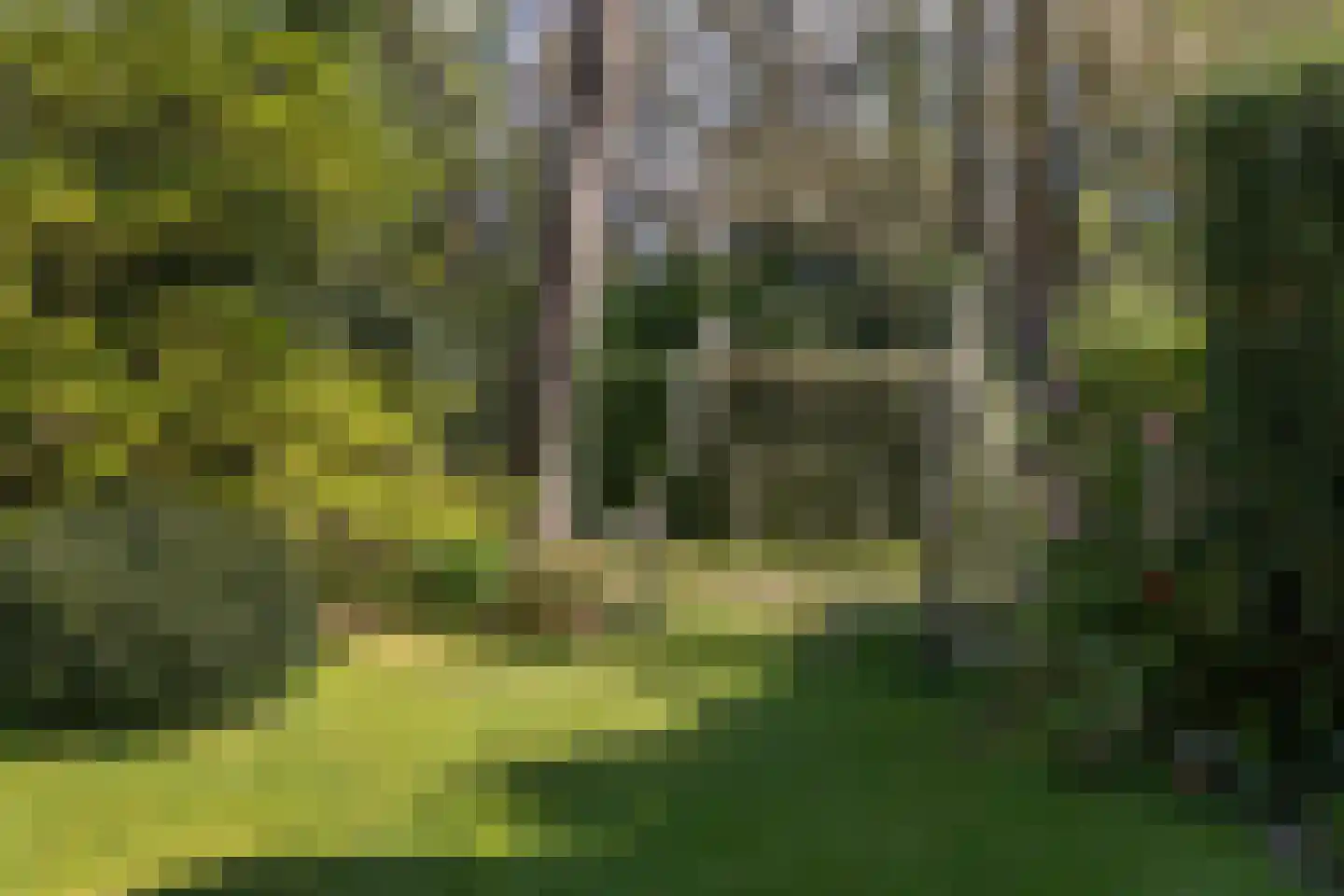 Lassuslaan 60 Bilthoven thumbnail 52