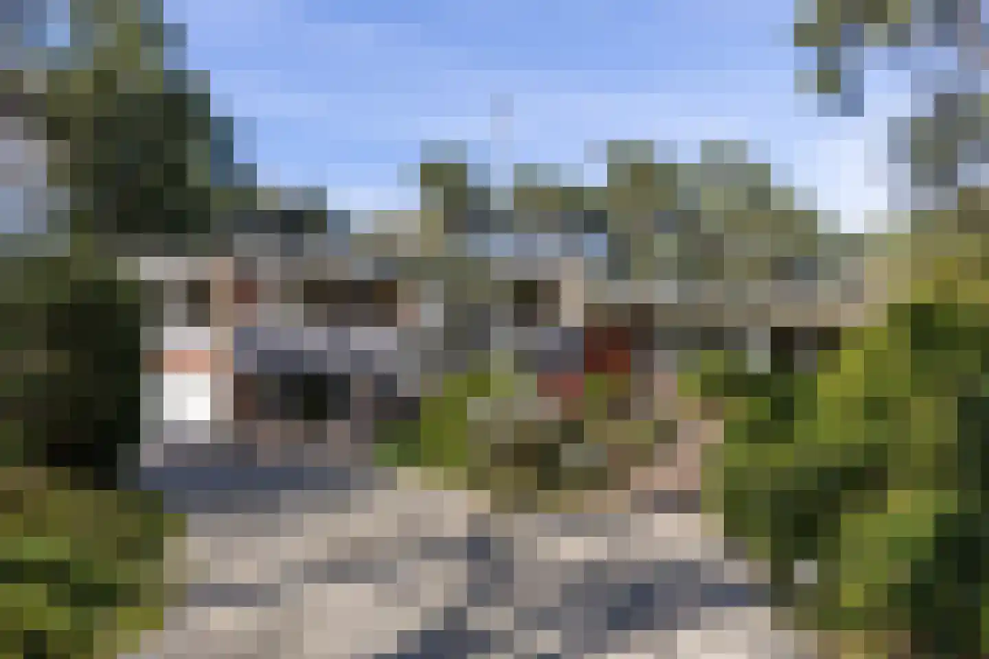 Lassuslaan 60 Bilthoven thumbnail 56