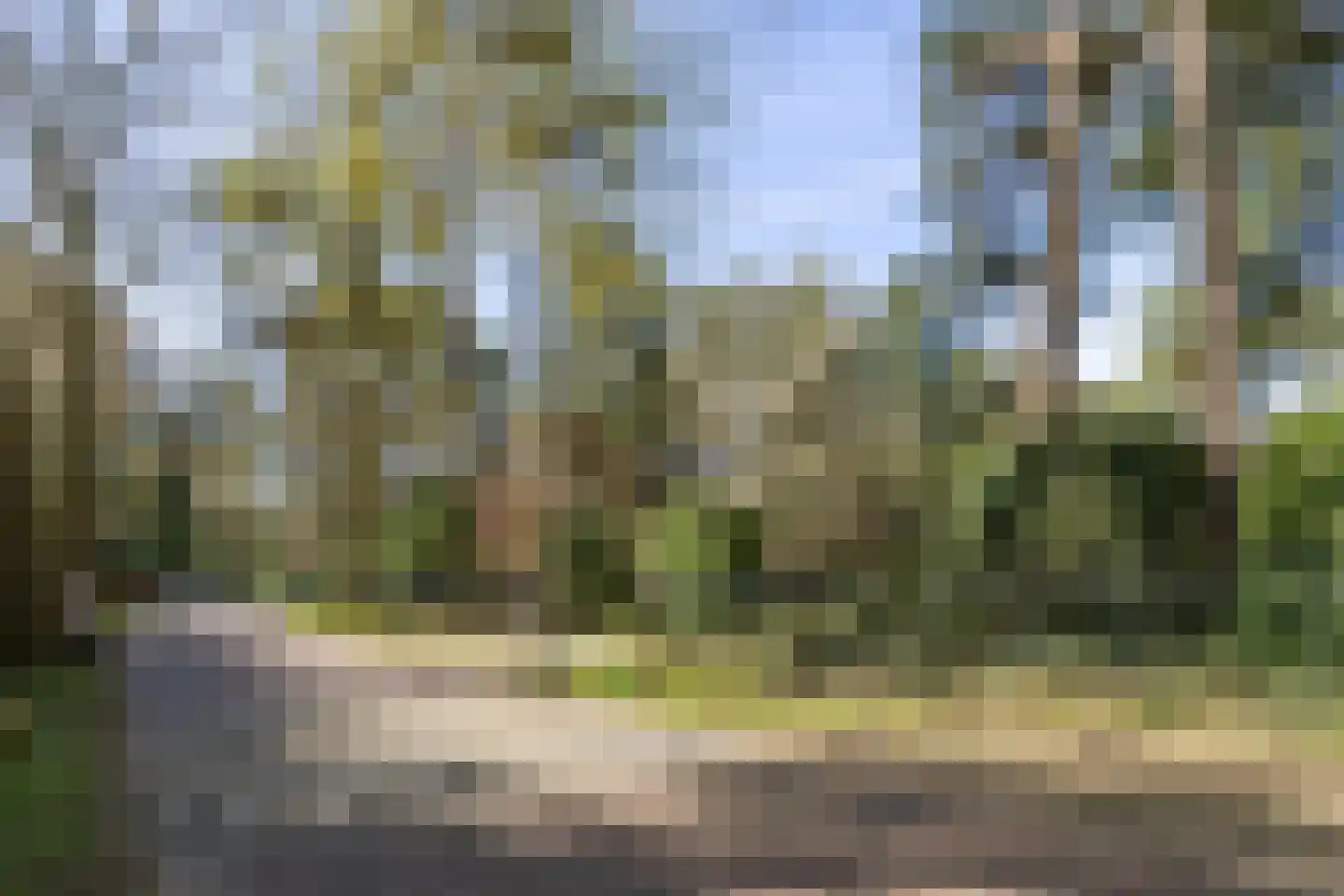 Lassuslaan 60 Bilthoven thumbnail 57