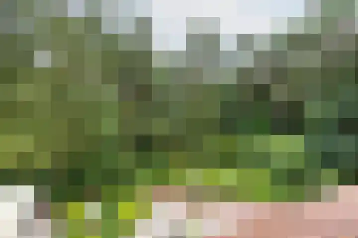 Lassuslaan 61 Bilthoven thumbnail 31