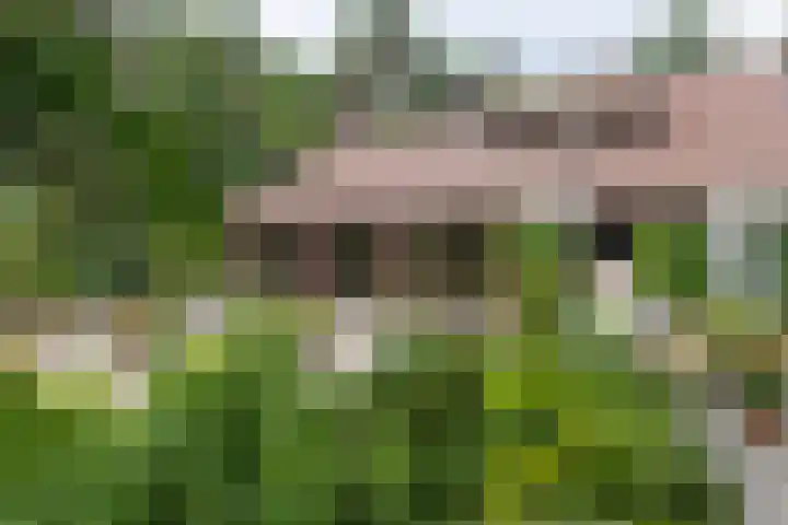 Lassuslaan 61 Bilthoven thumbnail 32