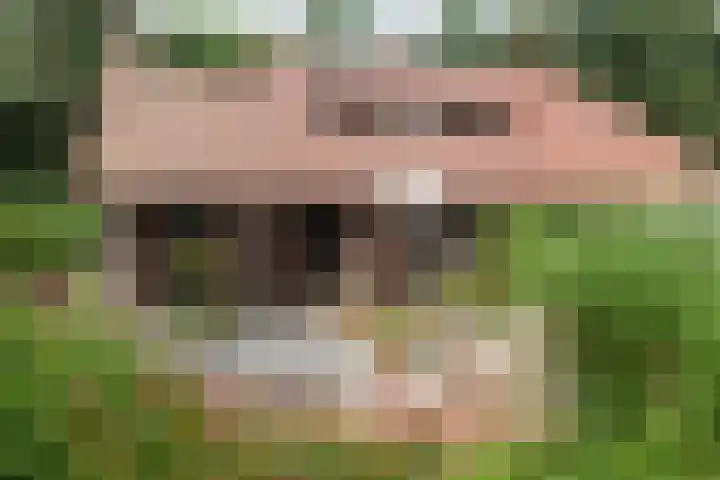 Lassuslaan 61 Bilthoven thumbnail 33