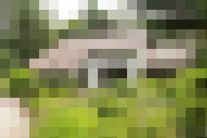 Lassuslaan 61 Bilthoven thumbnail 4