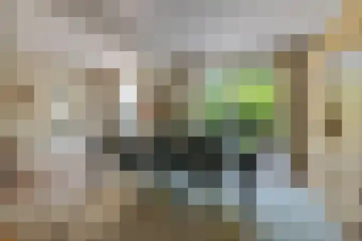 Lassuslaan 76 Bilthoven thumbnail 12