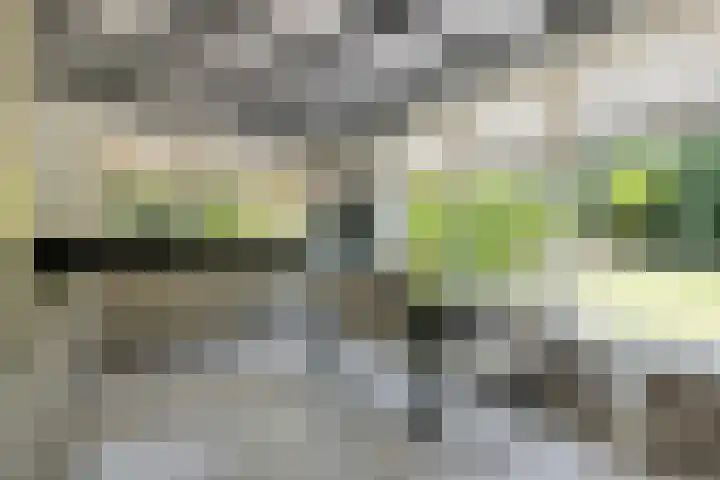 Lassuslaan 76 Bilthoven thumbnail 15