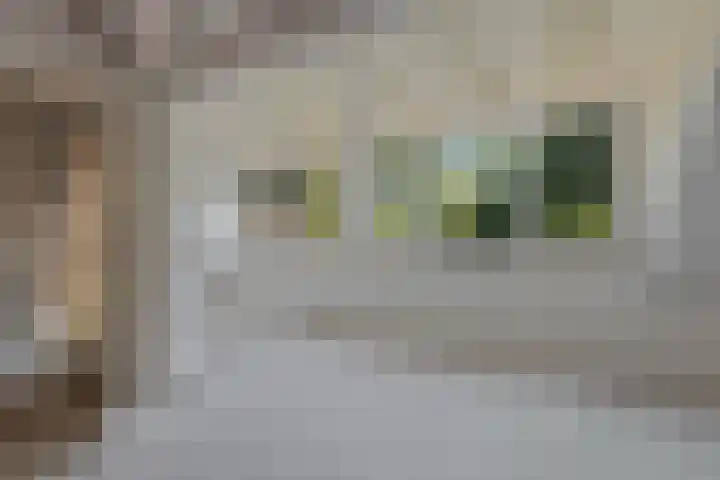 Lassuslaan 76 Bilthoven thumbnail 22