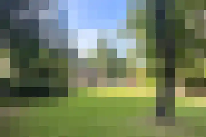 Lassuslaan 76 Bilthoven thumbnail 24