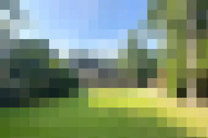 Lassuslaan 76 Bilthoven thumbnail 25