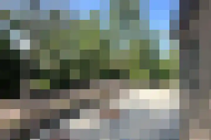 Lassuslaan 76 Bilthoven thumbnail 27