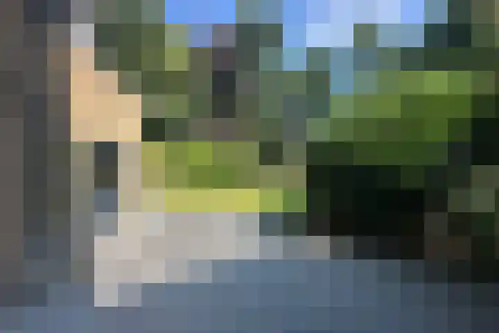 Lassuslaan 76 Bilthoven thumbnail 29
