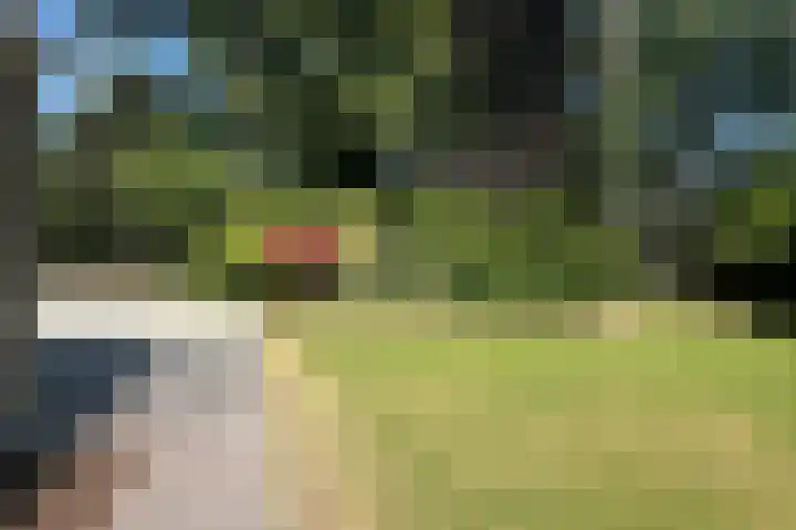 Lassuslaan 76 Bilthoven thumbnail 30