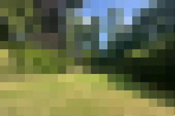 Lassuslaan 76 Bilthoven thumbnail 31