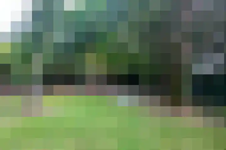 Lassuslaan 76 Bilthoven thumbnail 32
