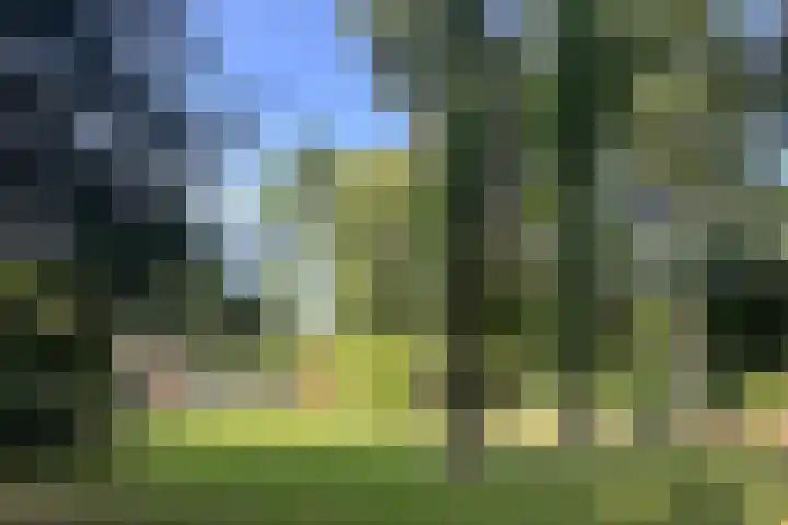 Lassuslaan 76 Bilthoven thumbnail 33