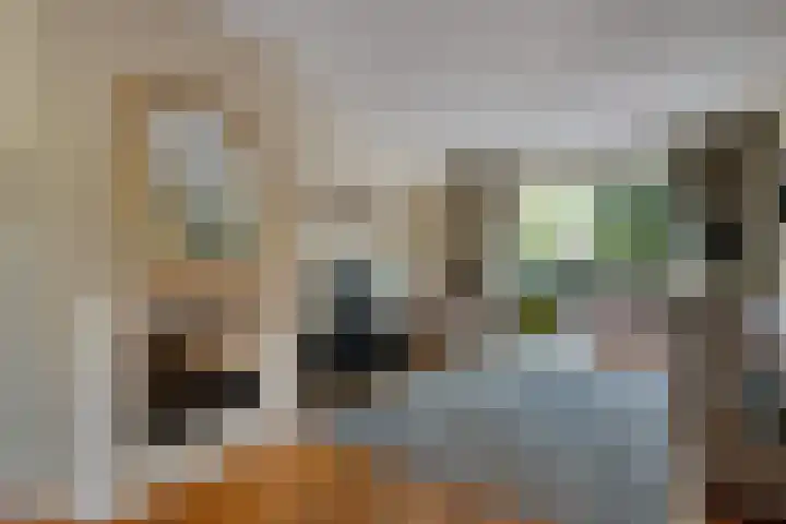 Lassuslaan 76 Bilthoven thumbnail 5