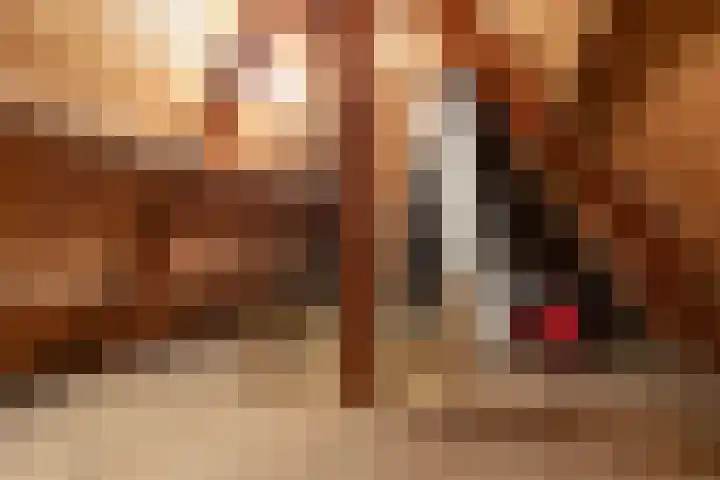 Lassuslaan 99 Bilthoven thumbnail 42