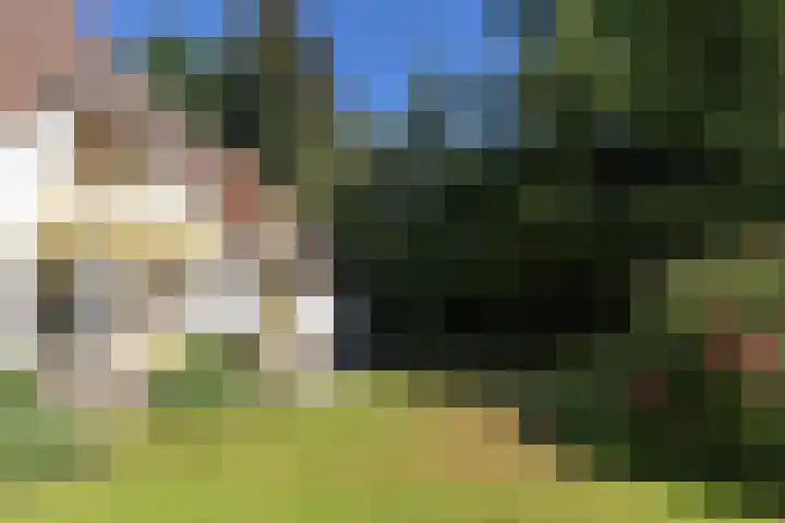 Lassuslaan 99 Bilthoven thumbnail 44