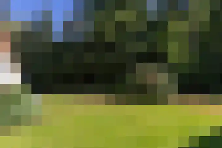 Lassuslaan 99 Bilthoven thumbnail 45