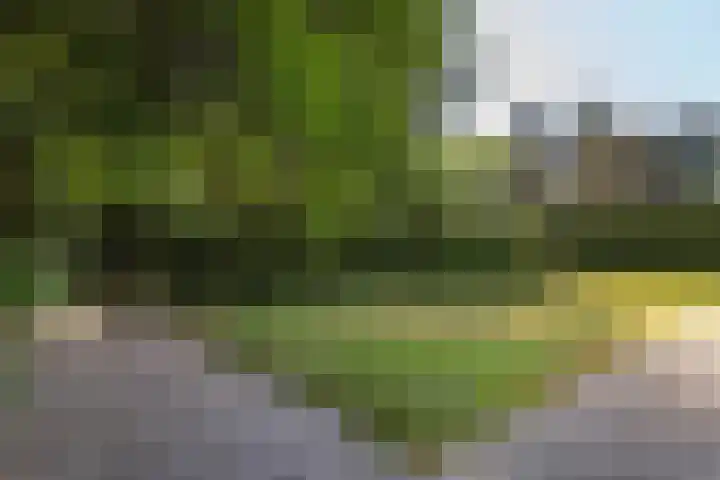 Lassuslaan 99 Bilthoven thumbnail 47