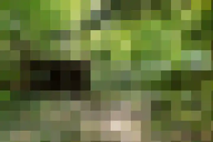 Lassuslaan 99 Bilthoven thumbnail 48