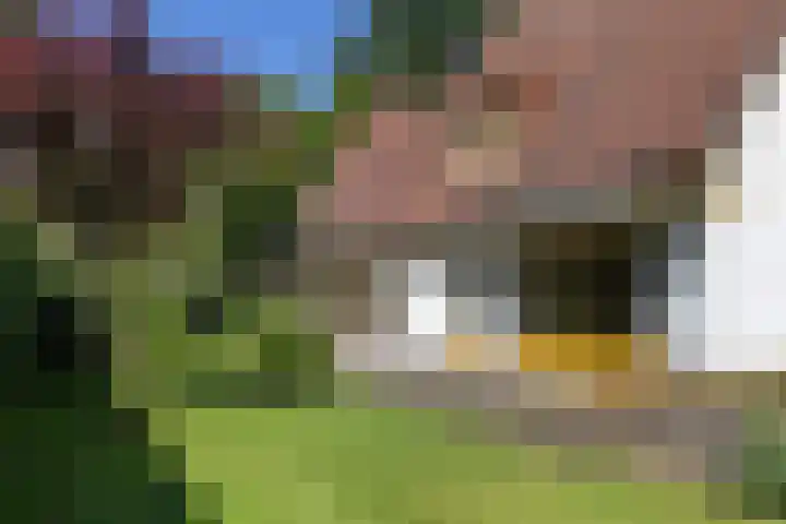 Lassuslaan 99 Bilthoven thumbnail 52