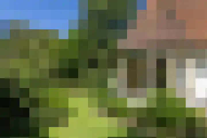 Lassuslaan 99 Bilthoven thumbnail 53