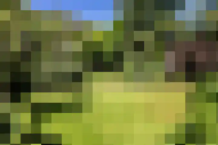 Lassuslaan 99 Bilthoven thumbnail 54