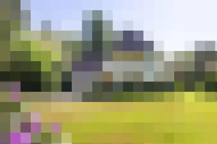 Lassuslaan 99 Bilthoven thumbnail 56