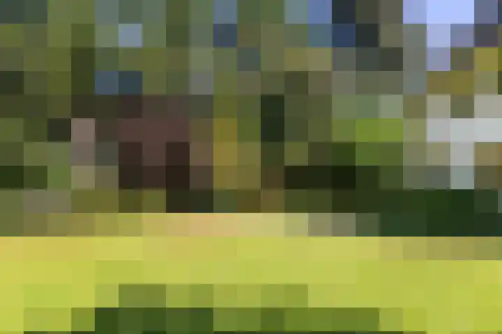 Lassuslaan 99 Bilthoven thumbnail 57