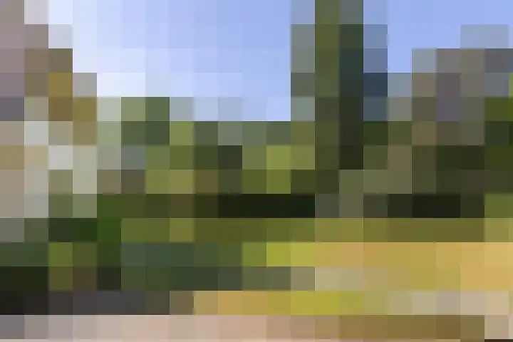 Lassuslaan 99 Bilthoven thumbnail 58