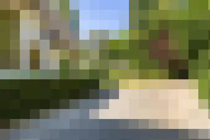 Lassuslaan 99 Bilthoven thumbnail 59