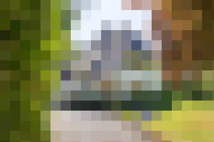Lassuslaan 99 Bilthoven thumbnail 60