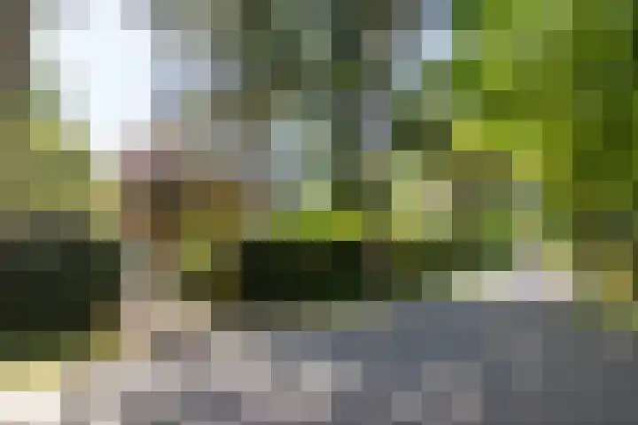 Lassuslaan 99 Bilthoven thumbnail 62