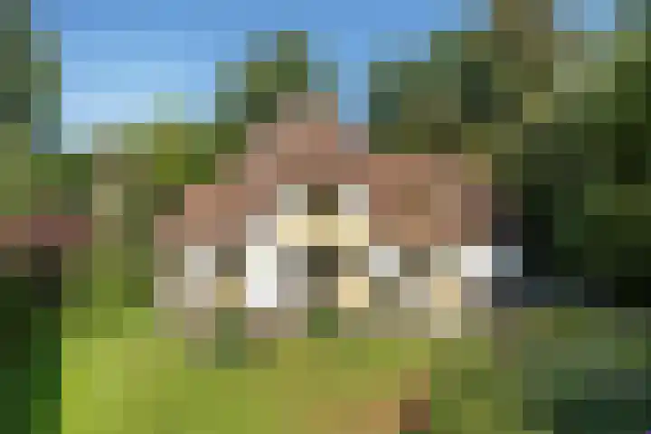 Lassuslaan 99 Bilthoven thumbnail 71