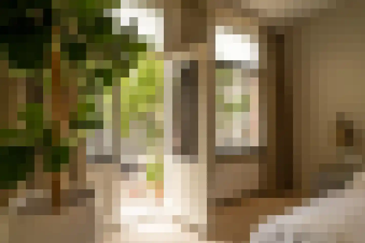 Lassusstraat 1 1 Amsterdam thumbnail 24