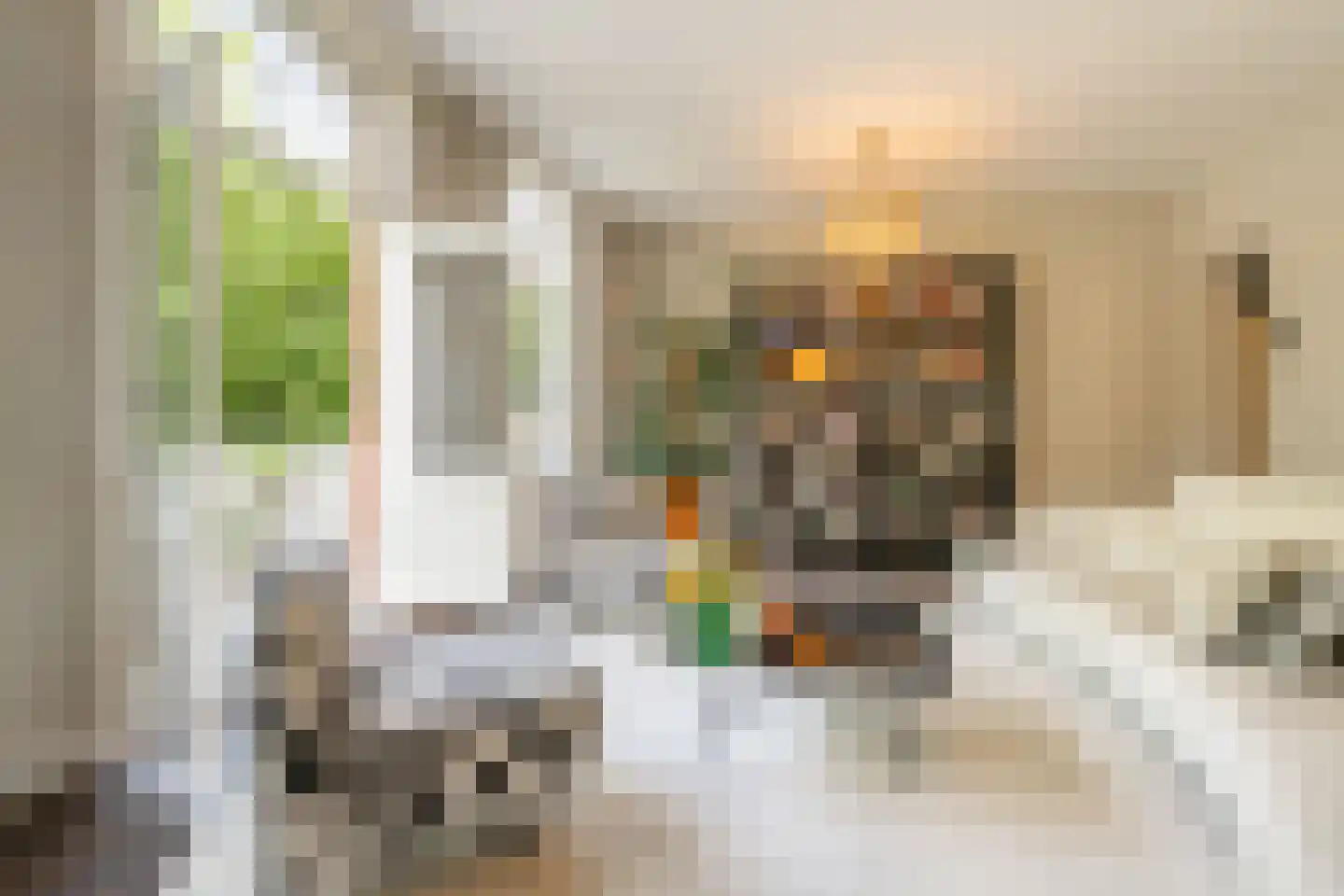 Lassusstraat 1 1 Amsterdam thumbnail 7
