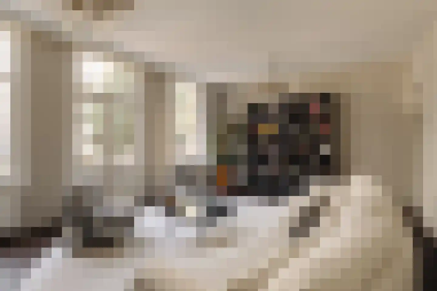 Lassusstraat 1 1 Amsterdam thumbnail 9