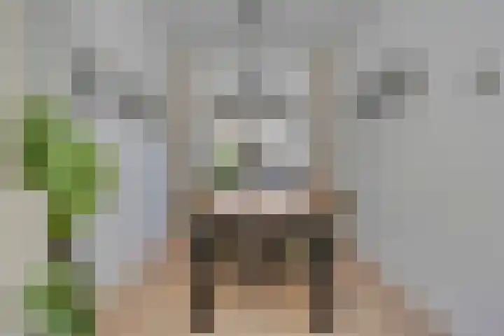 Lassusstraat 26 Eindhoven thumbnail 15