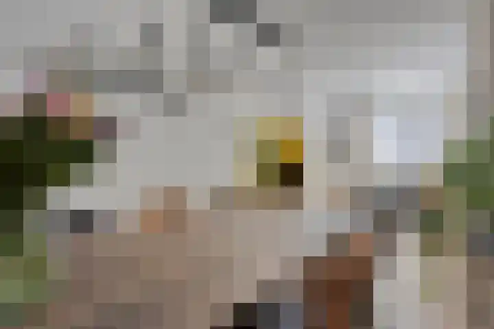 Lassusstraat 26 Eindhoven thumbnail 16
