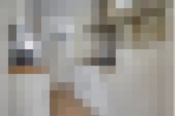 Lassusstraat 26 Eindhoven thumbnail 21