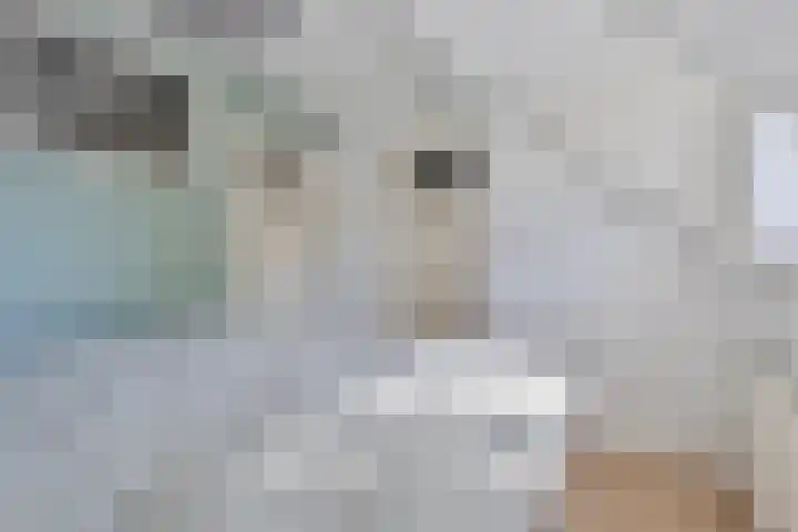 Lassusstraat 26 Eindhoven thumbnail 24