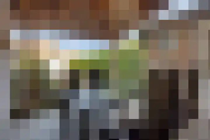 Lassusstraat 26 Eindhoven thumbnail 32