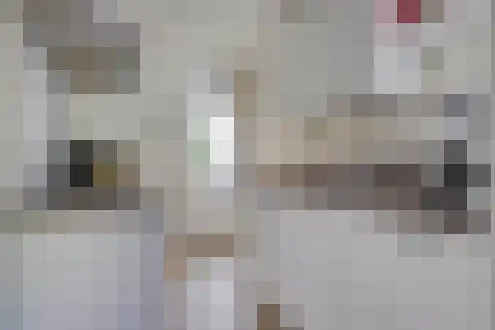 Lassusstraat 26 Eindhoven thumbnail 4