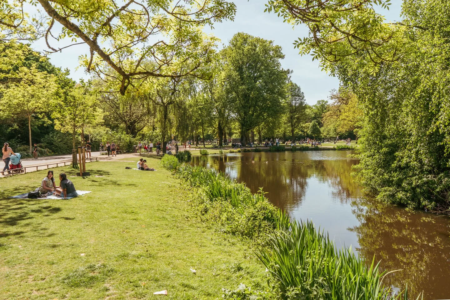 Lassusstraat 3 2 Amsterdam thumbnail 29