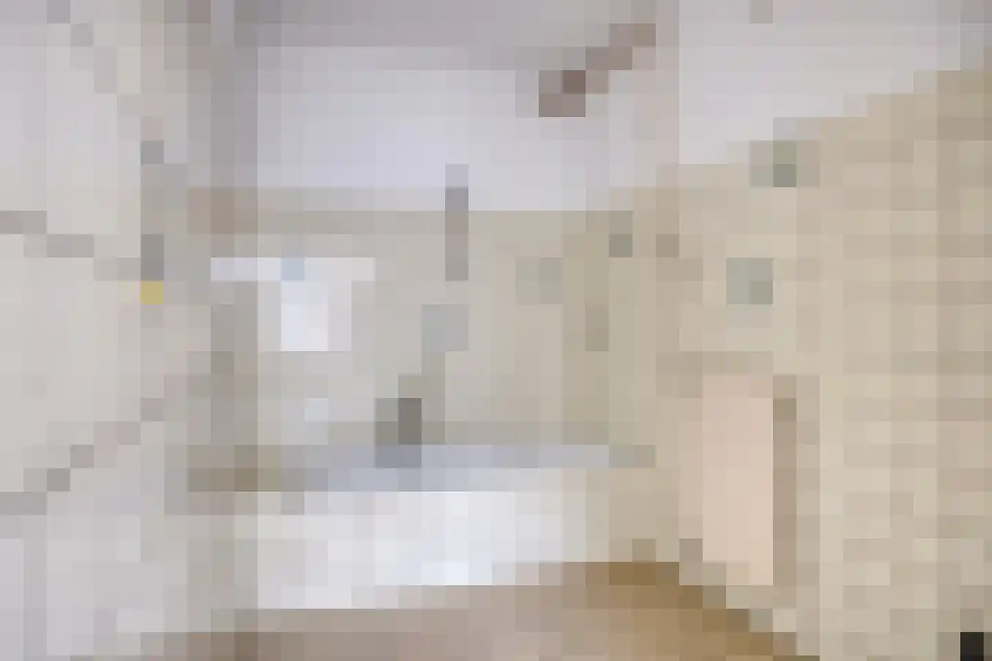 Lassusstraat 66 Eindhoven thumbnail 10